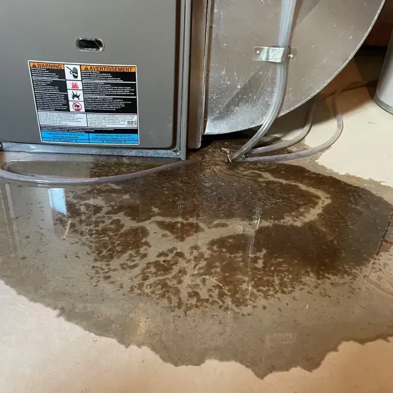 Appliance Leak Cleanup in Central City, KY